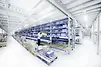 Live storage shelving systems